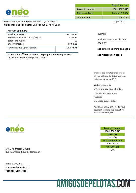 Em branco modelo de conta de serviço público de eletricidade ENEO de Camarões em formatos Word e PDF
